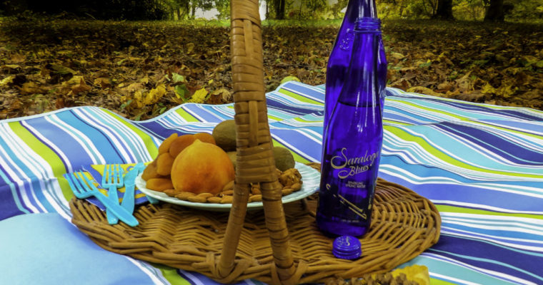 GIFTS FOR FOODIES AL FRESCO DINING LIKE A GROWN-UP: THE PARYVARA ALL PURPOSE MAT