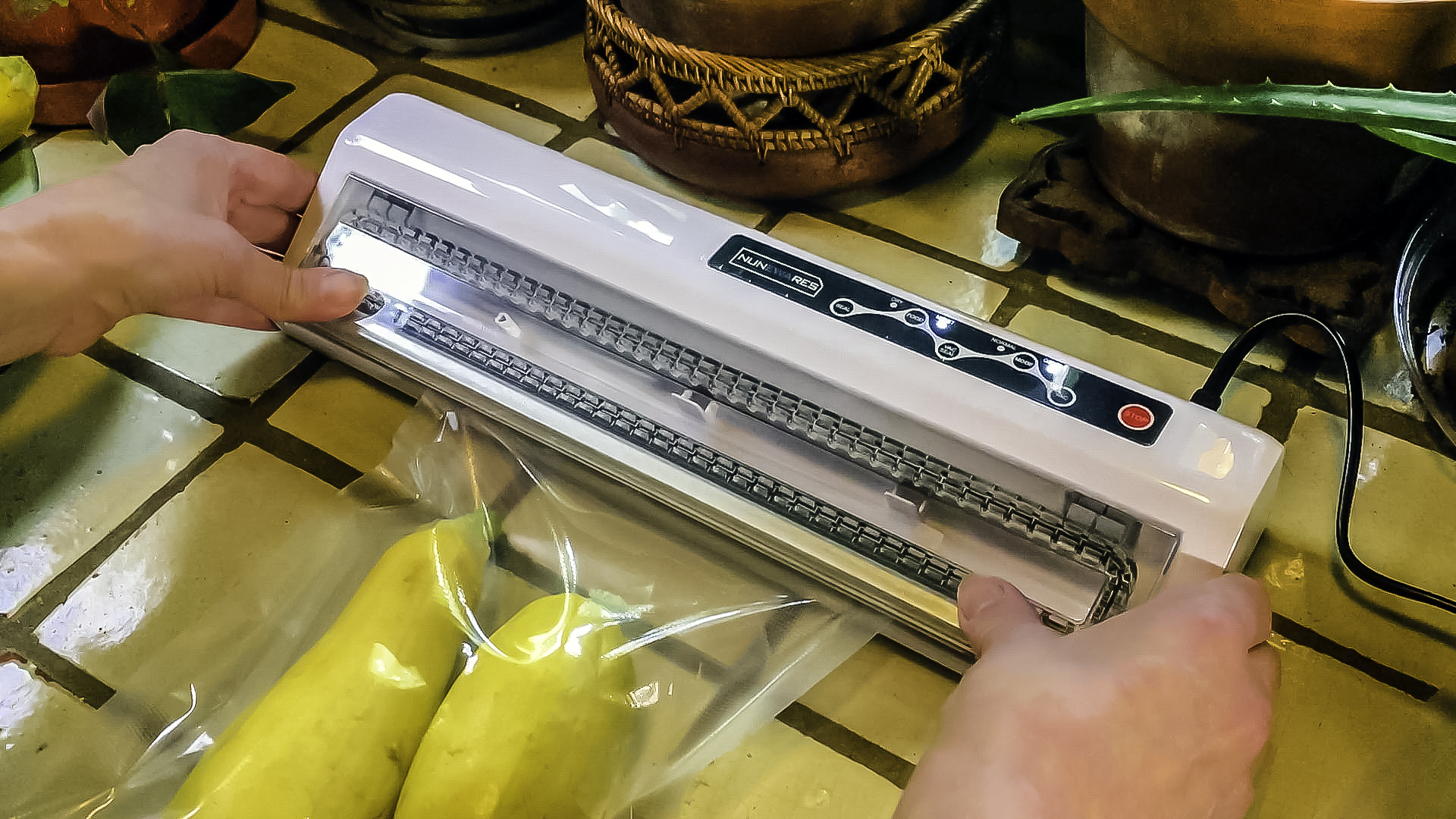 Save Food, Wine and Money with the Nunewares Vacuum Sealer