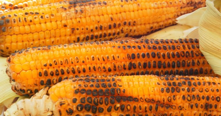 Ways to Cook Fresh Corn on the Cob