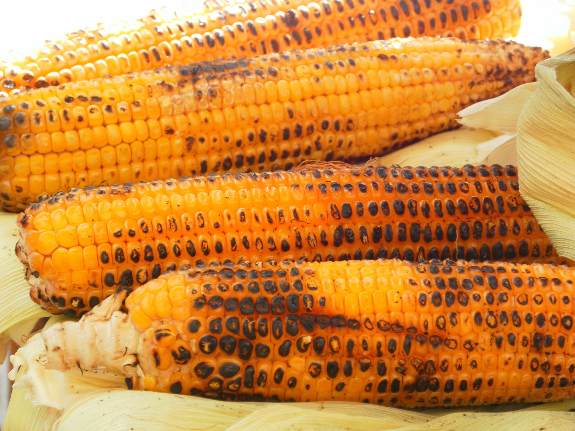 Ways to Cook Fresh Corn on the Cob