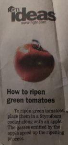 How to ripen green tomatoes